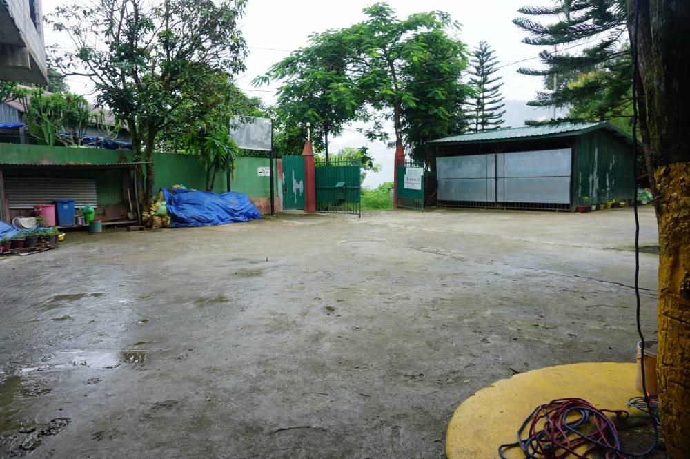 School Courtyard
